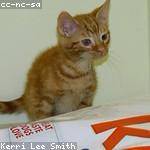 Billie Hodkiewicz Profile Picture