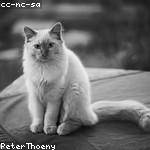 Roxanne Wiza Profile Picture