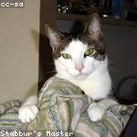 Romaine Grimes Profile Picture