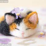 Darius Schowalter Profile Picture